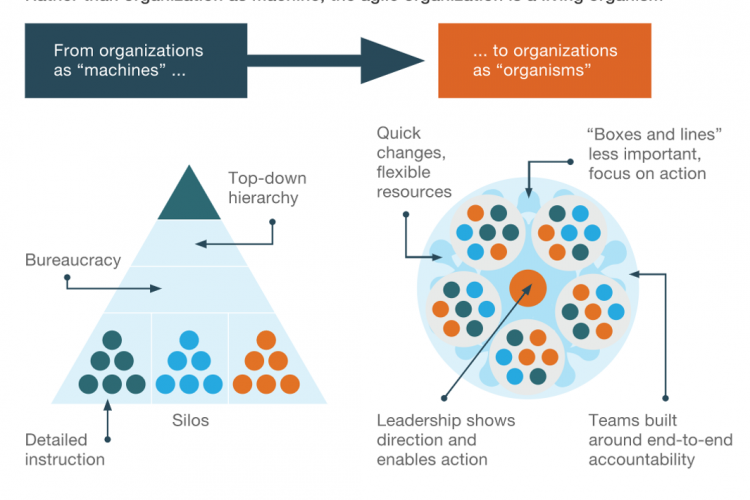 New organizational paradigm